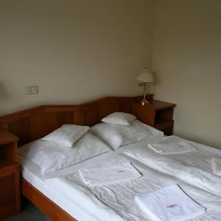 Well Hotel 3*