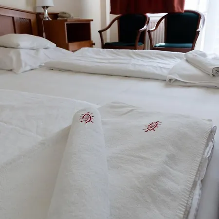 Well Hotel 3*
